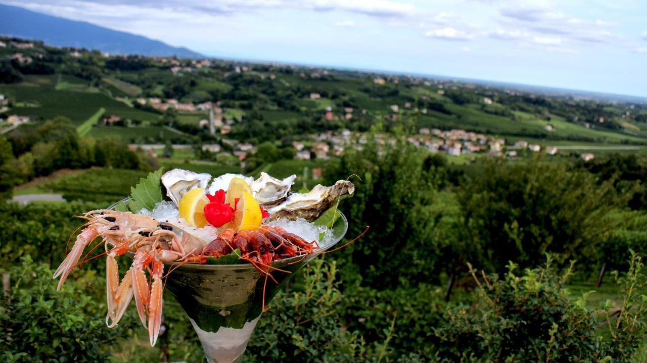 Villa Del Poggio Prosecco Bike Hotel San Pietro Di Feletto Exterior foto